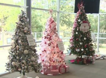 Boerne’s Festival of Trees will help raise funds to preserve genealogy, history records at local cemetery